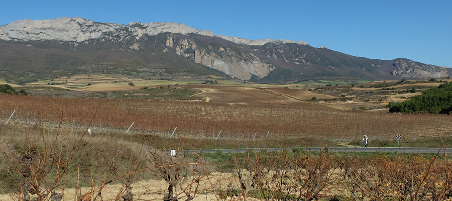 Fuentes del Vino Sierra_Cantabria
